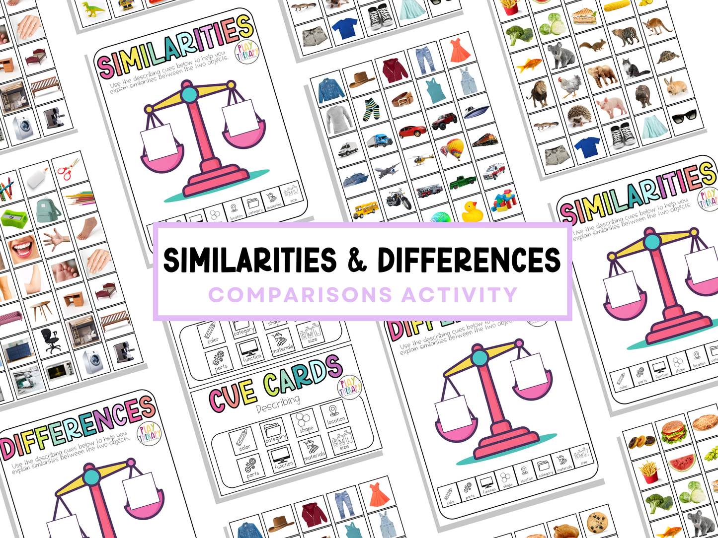 Similarities & Differences Activity