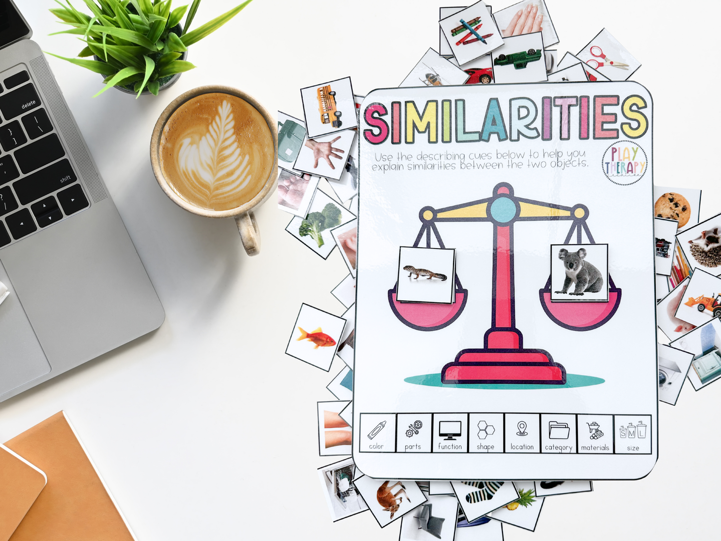 Similarities & Differences Activity