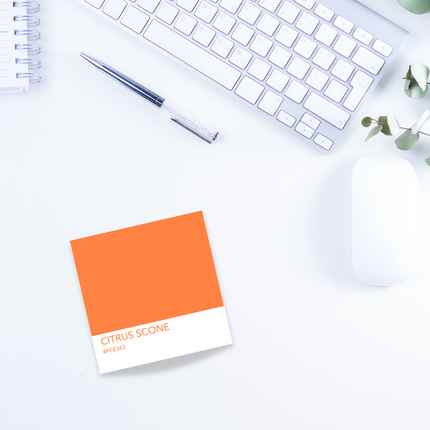 Paint Chip Sticky Notes - Sunday Brunch