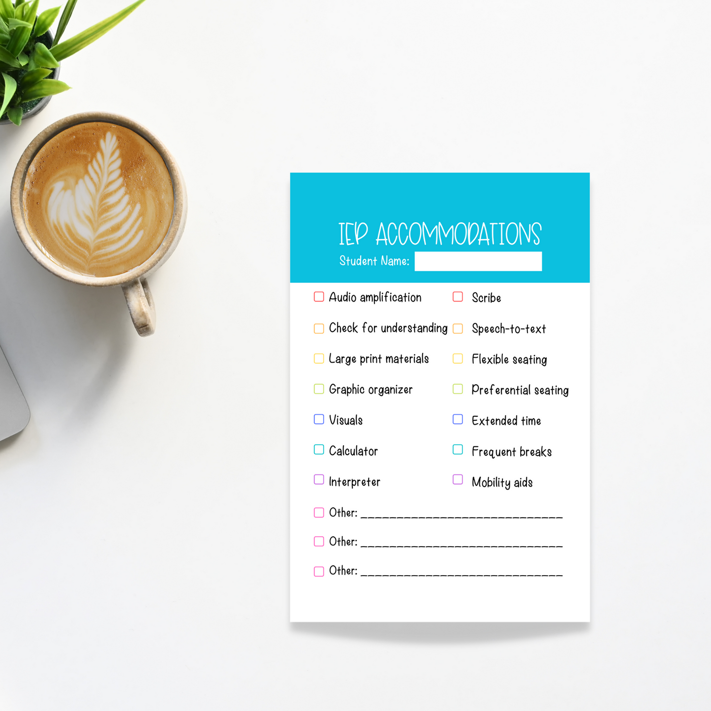 IEP Accommodation Sticky Notes (4 x 6 in)