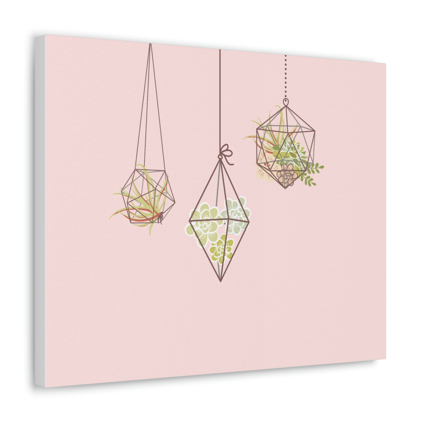 Hanging Terrariums Canvas Print (20 x 16 in)