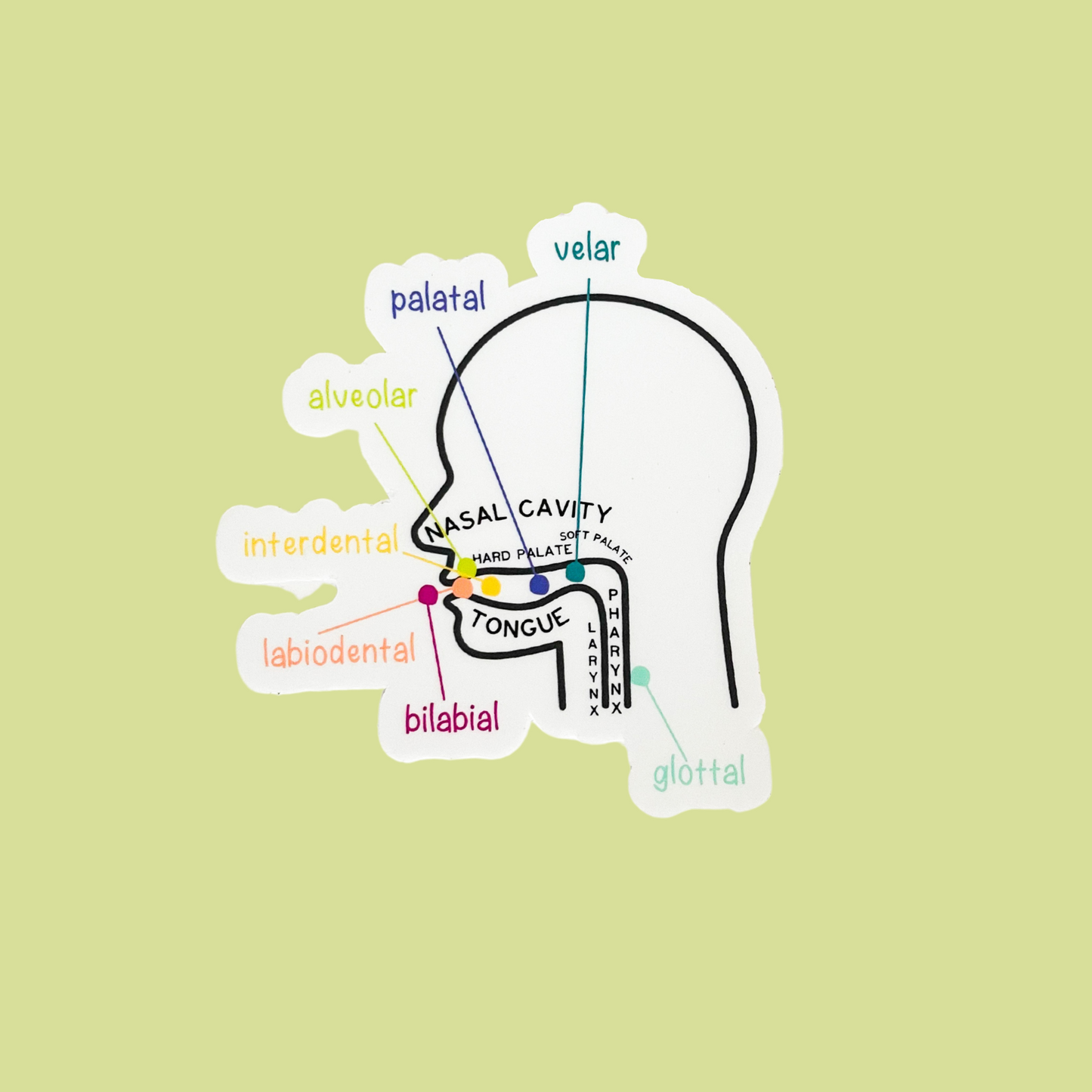 Speech Sound Placement Sticker