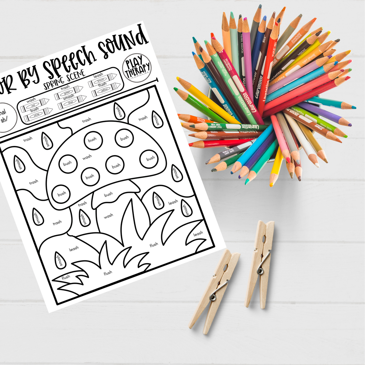 /sh/ Sound Spring Themed Color-by-Speech-Sounds for Speech Therapy