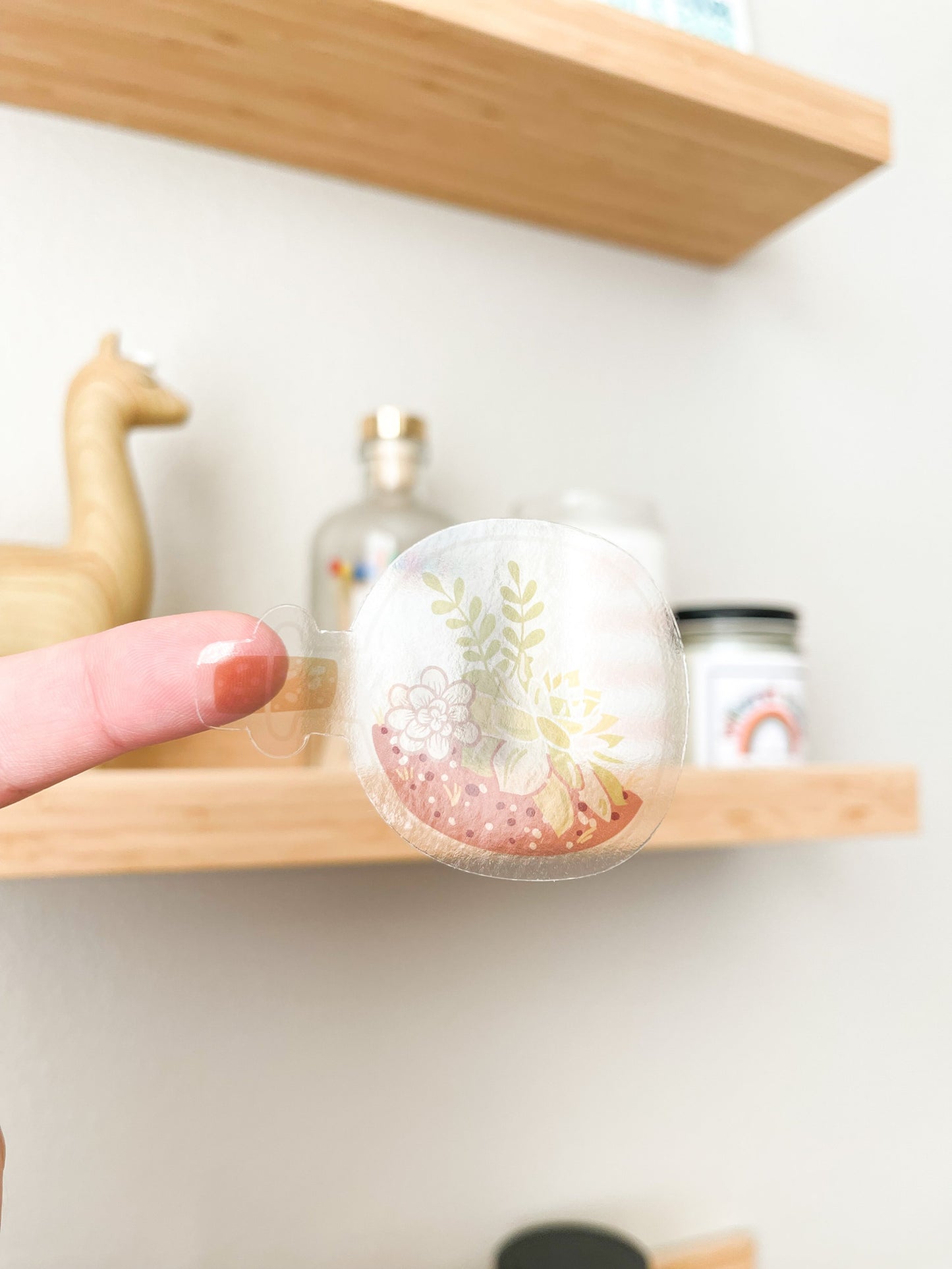 Corked Jar Succulent Sticker