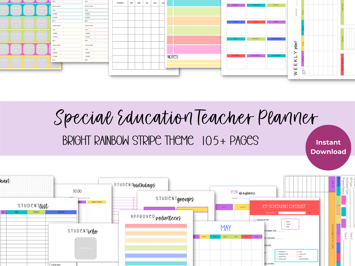 SpEd Teacher Printable Planner - Bright Rainbow Stripe Theme