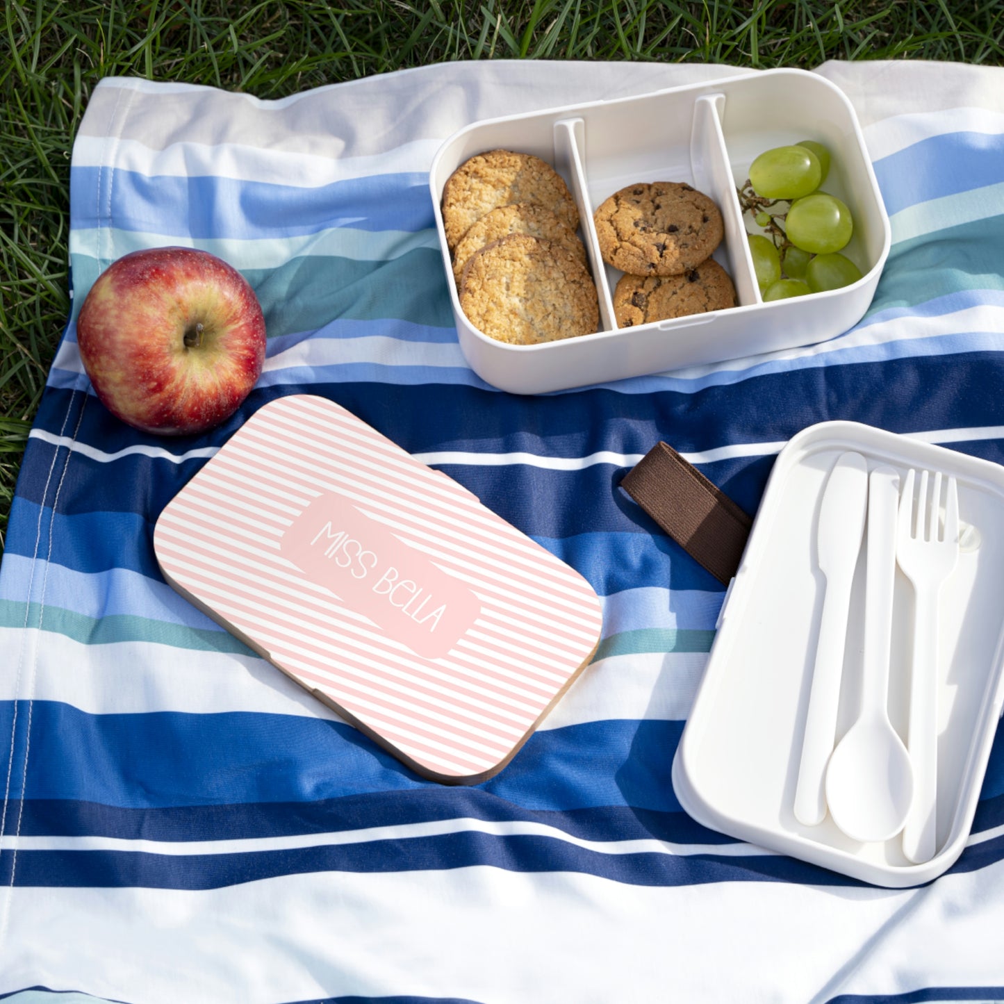 Custom Stripe Bento Lunch Box