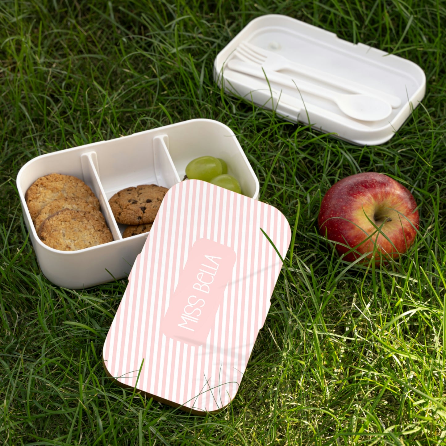 Custom Stripe Bento Lunch Box