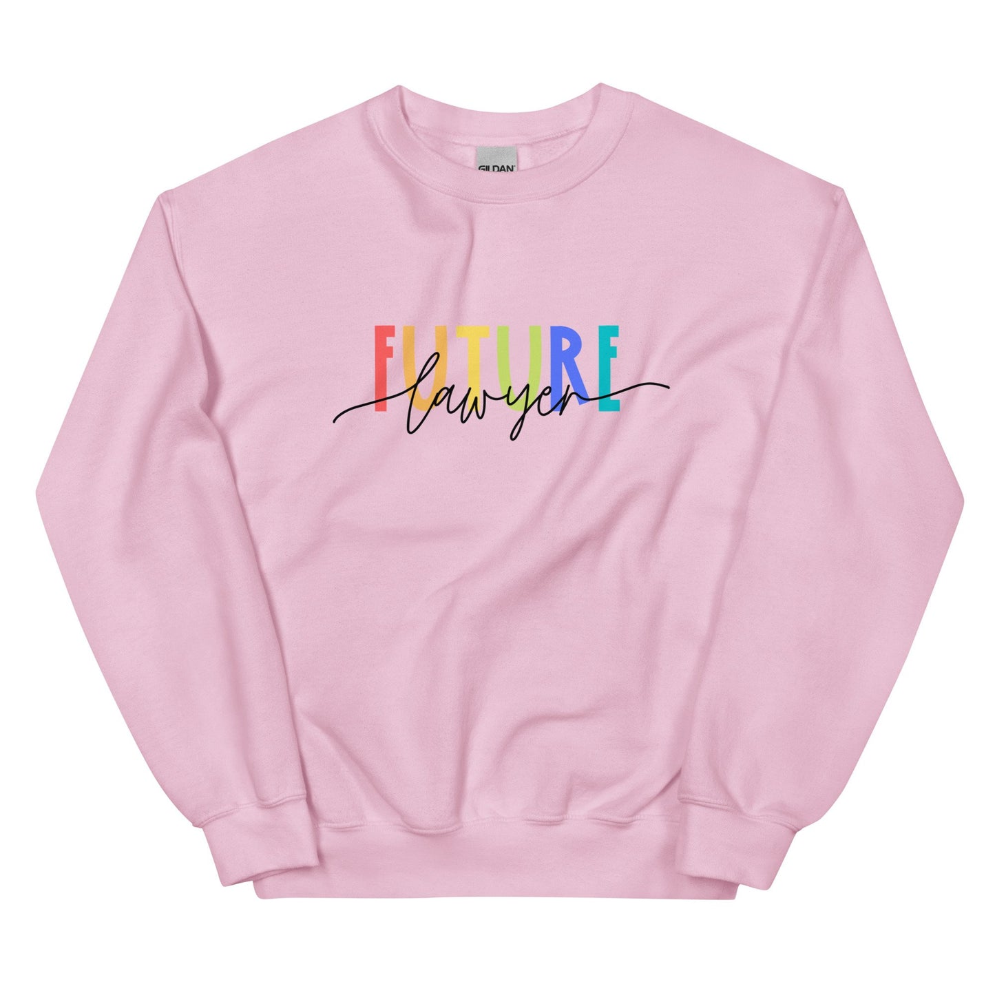 Future Lawyer Pullover