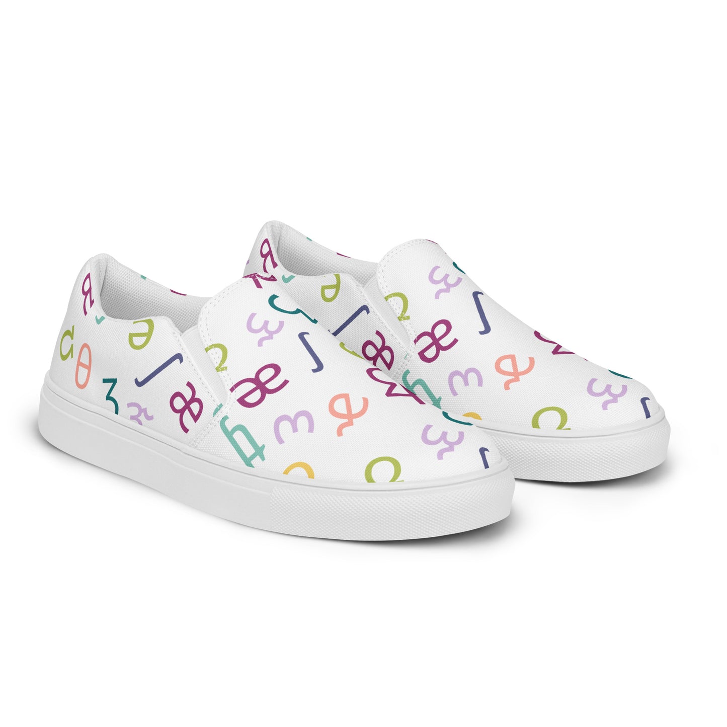 Muted Rainbow IPA Slip-on Canvas Shoes (Women's Sizes)